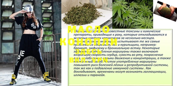 сатива Кинешма
