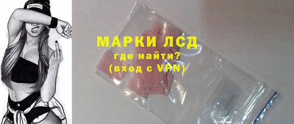 сатива Кинешма