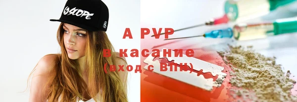 сатива Кинешма