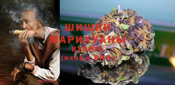 сатива Кинешма