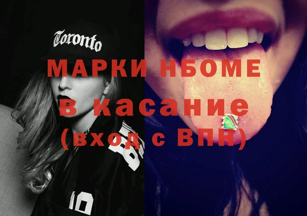 сатива Кинешма