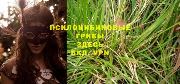 сатива Кинешма