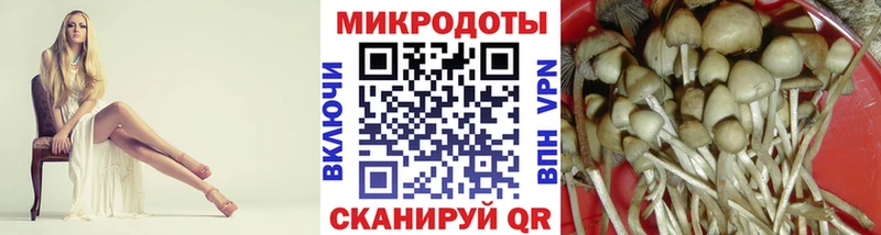 Галлюциногенные грибы Magic Shrooms  Купить закладки  Пестово 